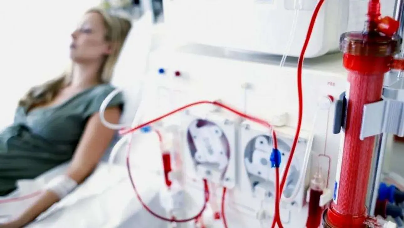 Estudo Revela: Doença Renal Crônica Atinge 788 Milhões Globalmente e Dobra Casos Desde 1990