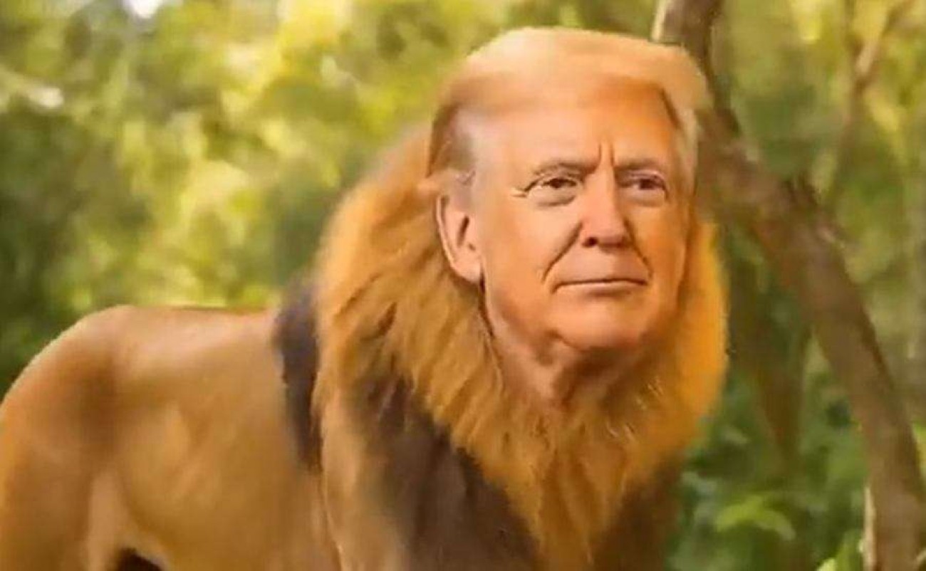 Vídeo de Donald Trump gera explosiva indignação da esquerda (veja o vídeo)