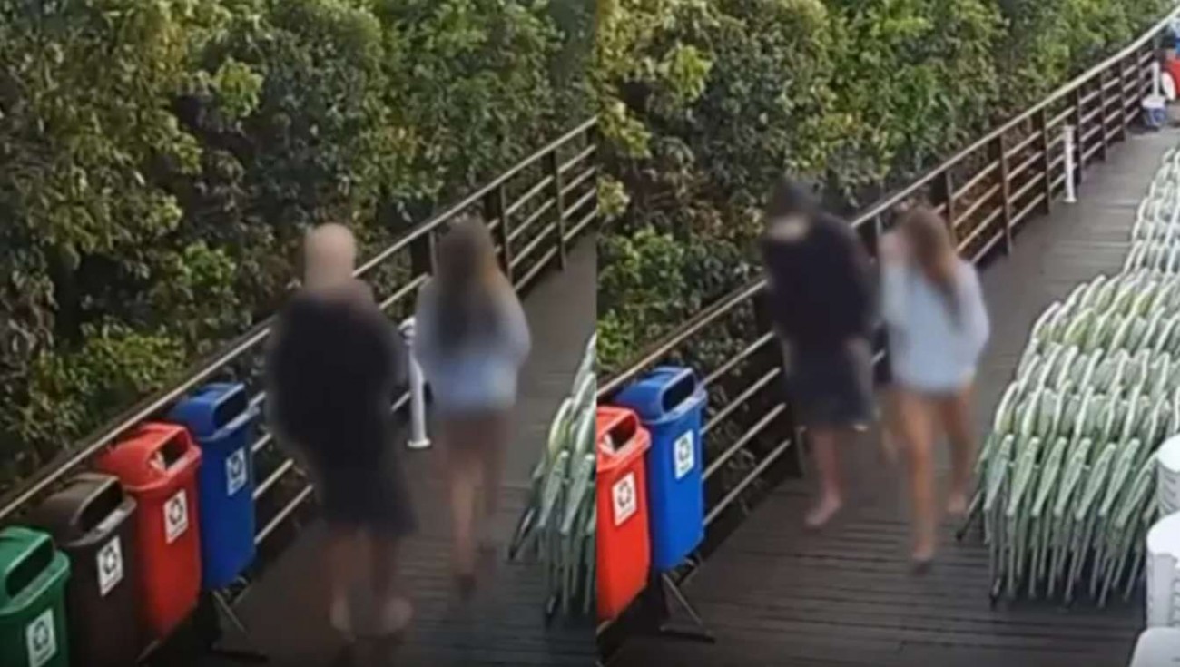 Polícia encerra inquérito e divulga imagens que contradizem adolescente no caso Orelha