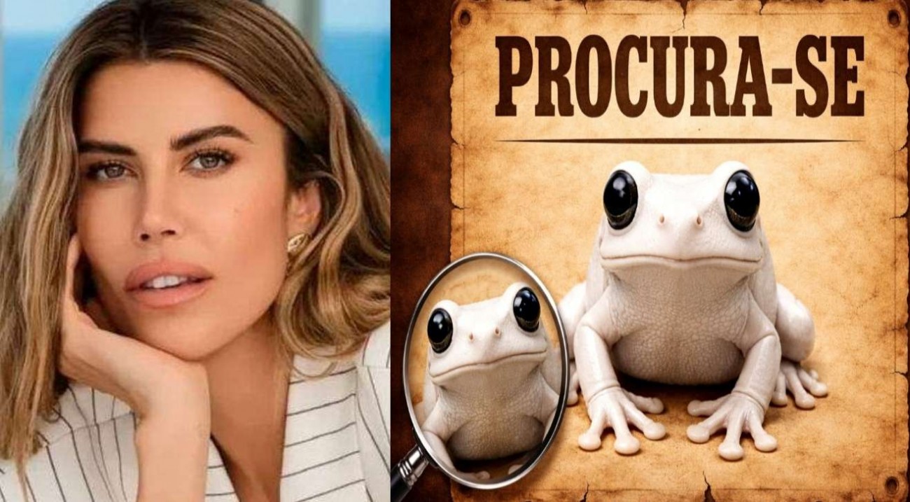 Ex-noiva de Vorcaro desaparece após convocação para depor em CPI sobre lavagem de dinheiro — Veja o vídeo!