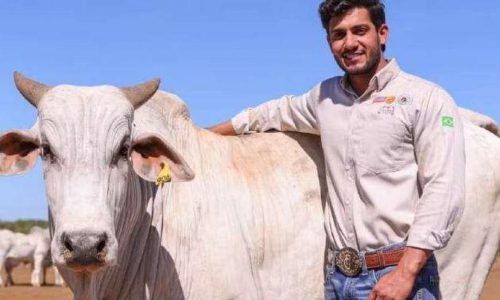 Empresário do agro de apenas 31 anos morre após ser encontrado caído em fazenda no Tocantins