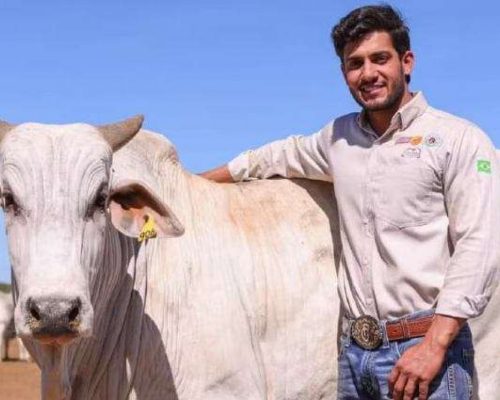 Empresário do agro de apenas 31 anos morre após ser encontrado caído em fazenda no Tocantins