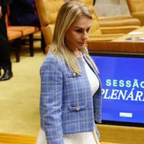 Esposa de Moraes defende empresário ligado a Vorcaro no STF