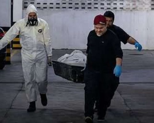 Homem morre sozinho em apartamento e tem corpo devorado por 11 cães