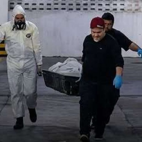 Homem morre sozinho em apartamento e tem corpo devorado por 11 cães