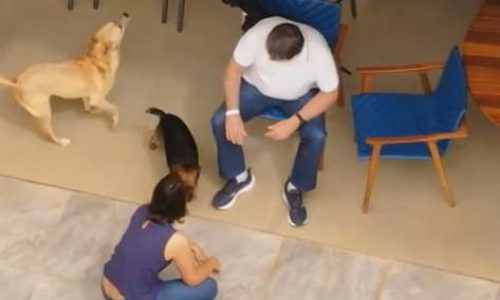 Drone flagra primeiras imagens de Bolsonaro em prisão domiciliar imposta por Moraes