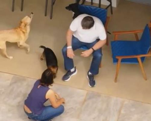 Drone flagra primeiras imagens de Bolsonaro em prisão domiciliar imposta por Moraes