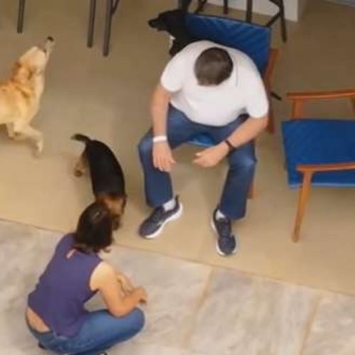 Drone flagra primeiras imagens de Bolsonaro em prisão domiciliar imposta por Moraes