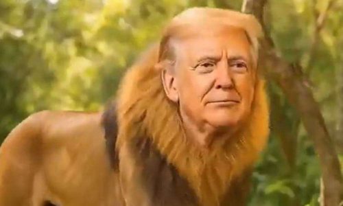 Vídeo de Donald Trump gera explosiva indignação da esquerda (veja o vídeo)