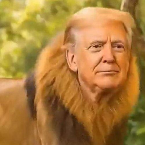 Vídeo de Donald Trump gera explosiva indignação da esquerda (veja o vídeo)