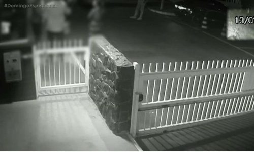 Polícia encerra investigação do caso Orelha e revela choque: adolescente autor da agressão