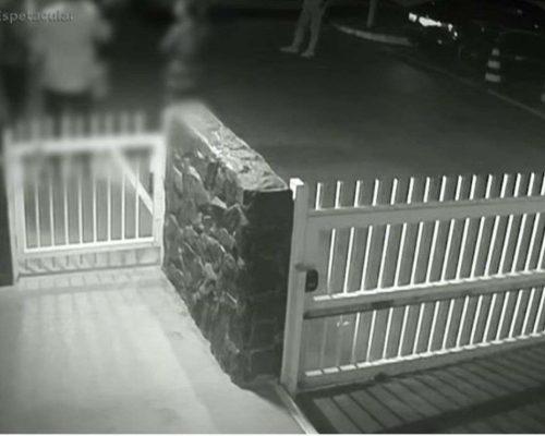 Polícia encerra investigação do caso Orelha e revela choque: adolescente autor da agressão