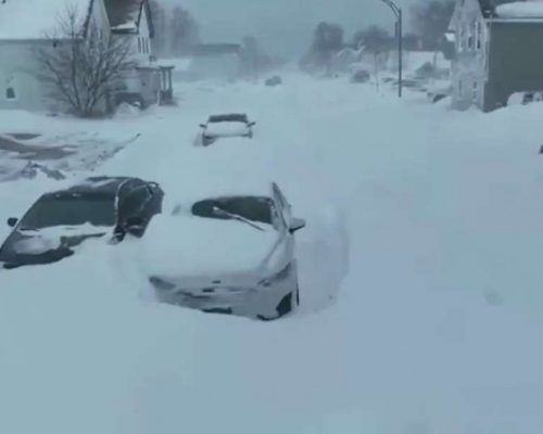 Ecochatos do aquecimento global somem quando o resfriamento global aparece