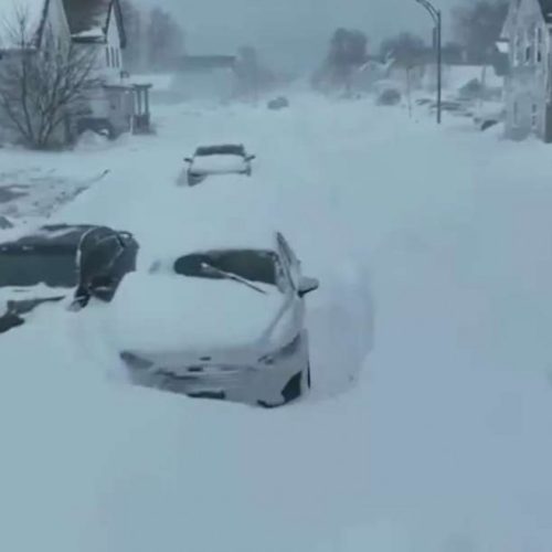 Ecochatos do aquecimento global somem quando o resfriamento global aparece