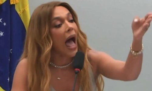 ONG de defesa de mulheres processa Erika Hilton por ofensas generalizadas contra mulheres