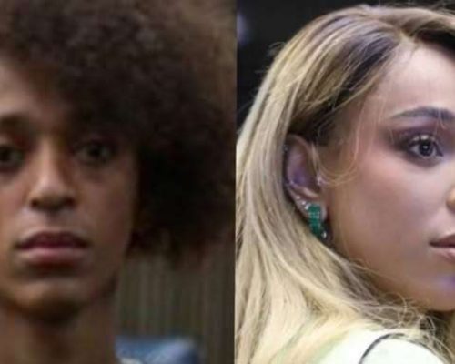 Pesquisa mostra rejeição massiva: 84% dos brasileiros discordam de Erika Hilton na presidência da Comissão da Mulher