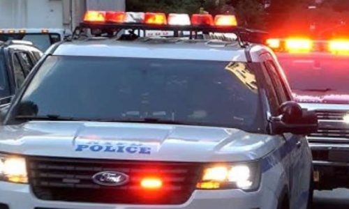 Esposa do sertanejo Henrique é presa em Orlando por fugir da polícia e dirigir sem habilitação