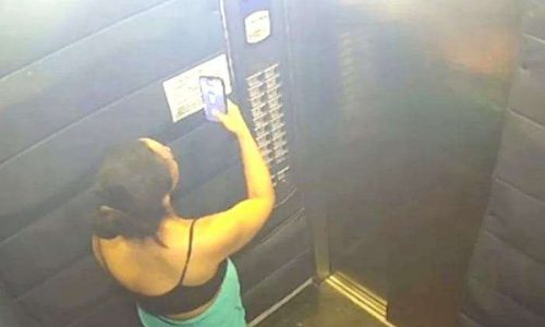 Síndico é preso após corpo da corretora desaparecida ser encontrado em mata