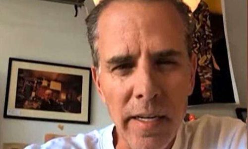 Hunter Biden desafia filhos de Trump para luta na jaula