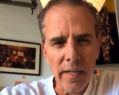 Hunter Biden desafia filhos de Trump para luta na jaula