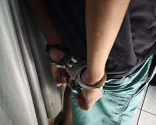 Menor de 16 anos transmite ao vivo tortura e morte de animais e recebe o codinome “Arquiteto do Horror”