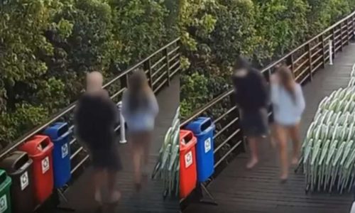 Polícia encerra inquérito e divulga imagens que contradizem adolescente no caso Orelha