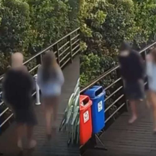 Polícia encerra inquérito e divulga imagens que contradizem adolescente no caso Orelha