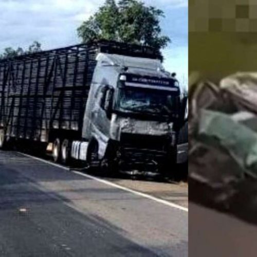 Acidente gravíssimo em rodovia federal deixa 8 mortos e 6 feridos após colisão entre van, carro e caminhão