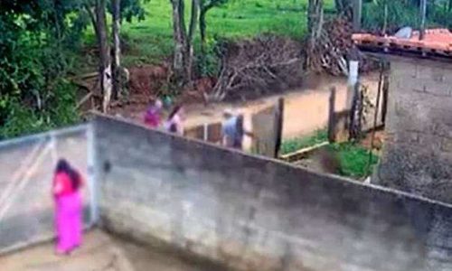 PITBULL ATACA E MATA BEBÊ DE APENAS 10 MESES