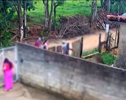 PITBULL ATACA E MATA BEBÊ DE APENAS 10 MESES