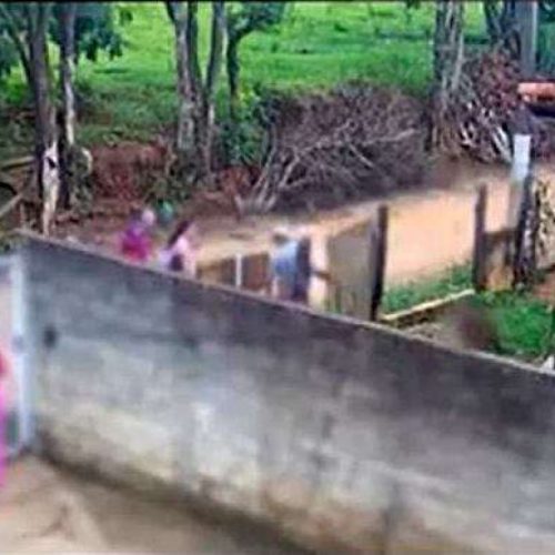 PITBULL ATACA E MATA BEBÊ DE APENAS 10 MESES