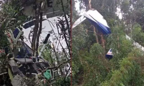 Piloto morre em queda de avião ultraleve na Região Metropolitana de Curitiba