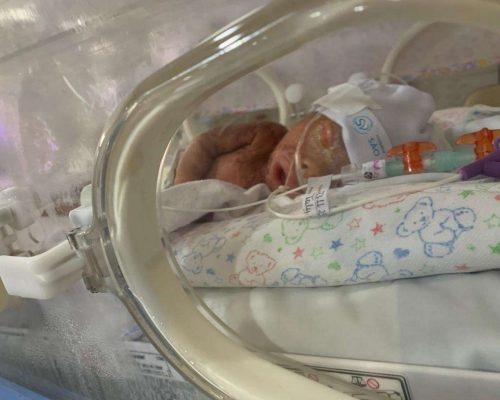 NATAL: ANJINHO PRECISA DE SUA AJUDA