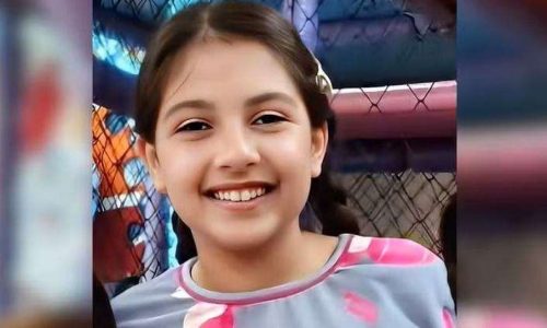 Menina de 12 anos morre após ter cabelo sugado por ralo de piscina; enterro acontece hoje