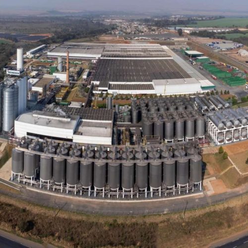 Heineken anuncia demissão em massa de até 6 mil trabalhadores