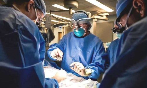 Morre aos 95 anos médico brasileiro que realizou o primeiro transplante de fígado de doador vivo no mundo