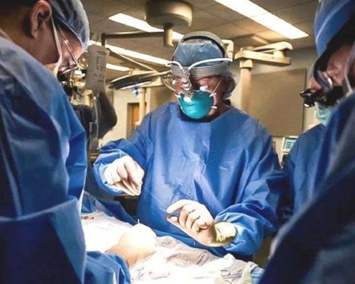 Morre aos 95 anos médico brasileiro que realizou o primeiro transplante de fígado de doador vivo no mundo