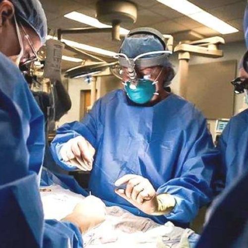 Morre aos 95 anos médico brasileiro que realizou o primeiro transplante de fígado de doador vivo no mundo
