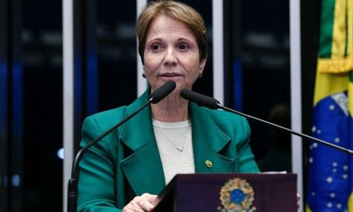 Tereza Cristina se diz preparada para ser vice de Flávio Bolsonaro em 2026