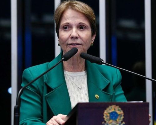 Tereza Cristina se diz preparada para ser vice de Flávio Bolsonaro em 2026