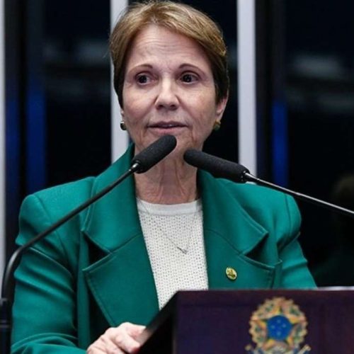 Tereza Cristina se diz preparada para ser vice de Flávio Bolsonaro em 2026