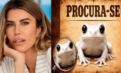 Ex-noiva de Vorcaro desaparece após convocação para depor em CPI sobre lavagem de dinheiro — Veja o vídeo!