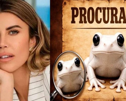 Ex-noiva de Vorcaro desaparece após convocação para depor em CPI sobre lavagem de dinheiro — Veja o vídeo!