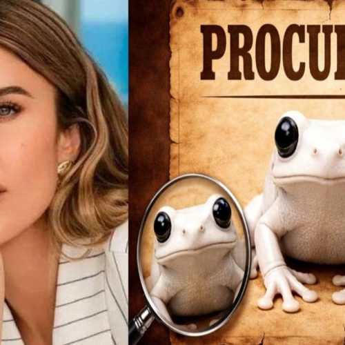 Ex-noiva de Vorcaro desaparece após convocação para depor em CPI sobre lavagem de dinheiro — Veja o vídeo!