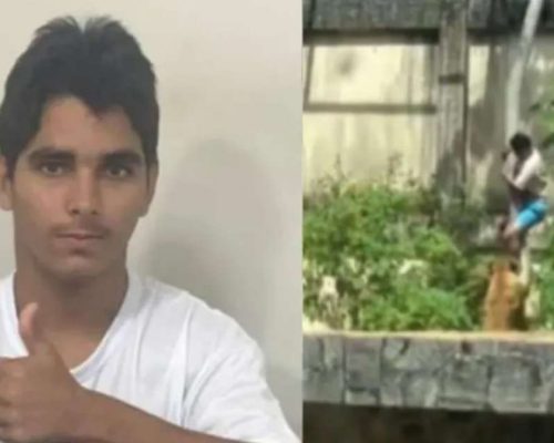 Revelado quem era o jovem que foi morto e devorado por leoa na Paraíba