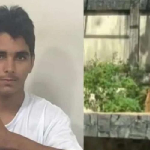 Revelado quem era o jovem que foi morto e devorado por leoa na Paraíba