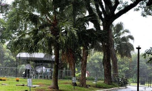 Exumação dos corpos dos Mamonas Assassinas revela jaqueta preservada após 30 anos e impressiona família de Dinho