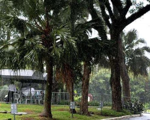 Exumação dos corpos dos Mamonas Assassinas revela jaqueta preservada após 30 anos e impressiona família de Dinho