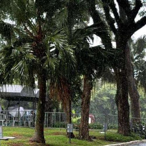 Exumação dos corpos dos Mamonas Assassinas revela jaqueta preservada após 30 anos e impressiona família de Dinho