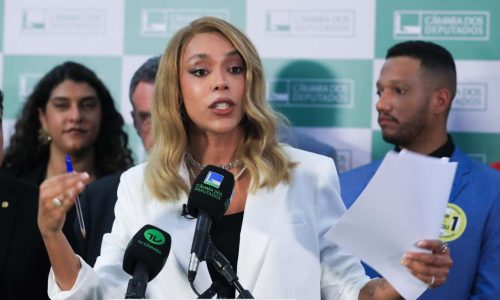 Erika Hilton detona proposta de porte de arma para pessoas trans e parte para ataques pessoais